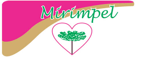 Mirimpel Sacos de Papel em Curitiba